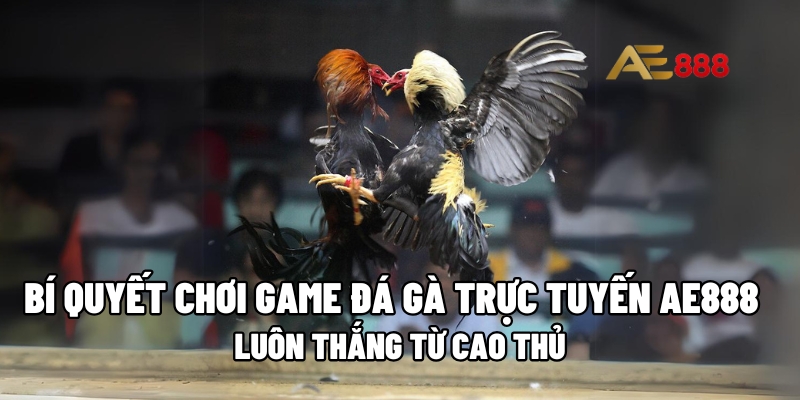 game đá gà trực tuyến